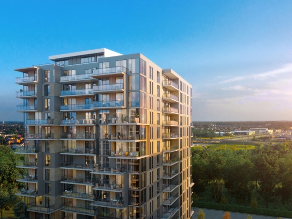 Market Condos