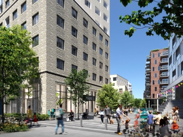 Condo appartement neuf � louer 2 chambres HOMA | Cano� | appartements locatifs - Annuaire immobilier